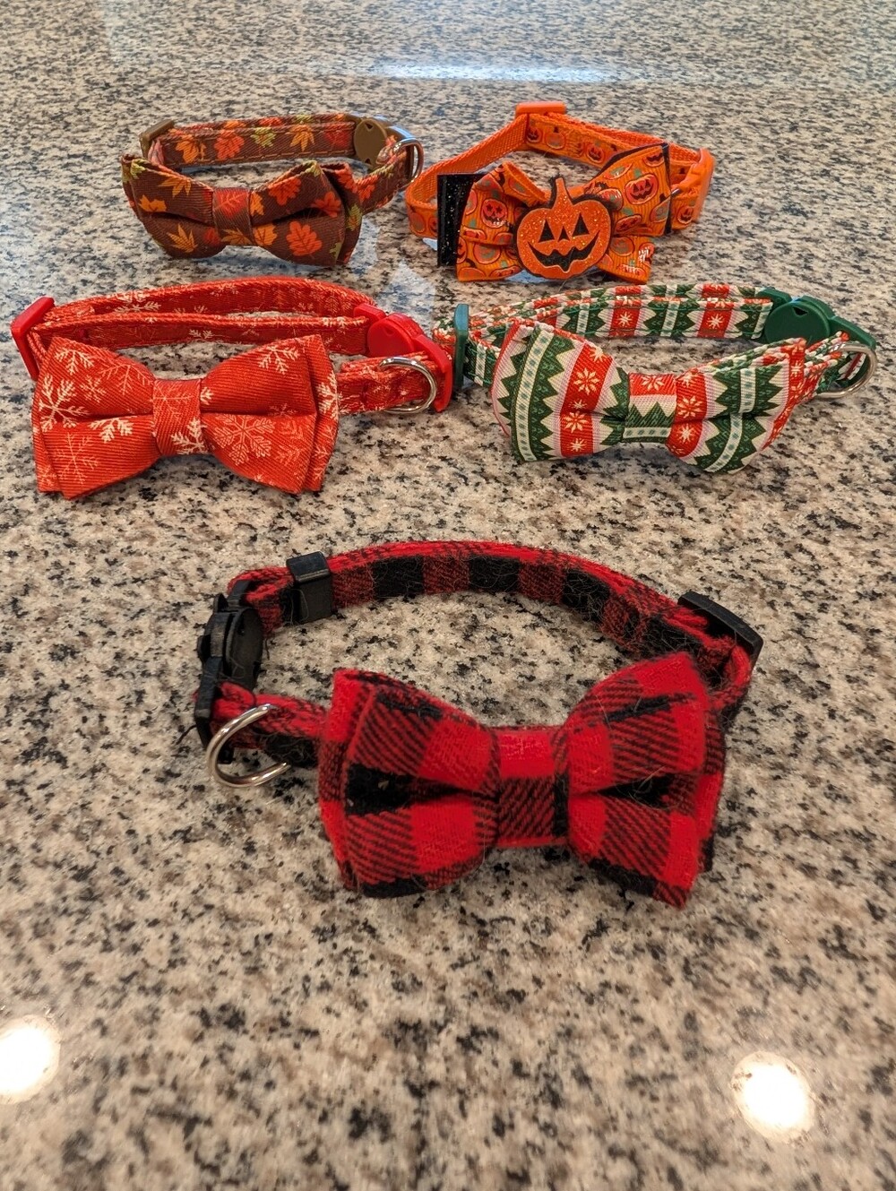 SET of 5 Breakaway Cat Collars